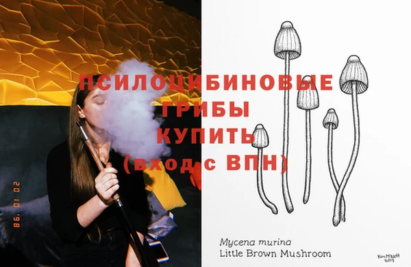 прущая мука Володарск