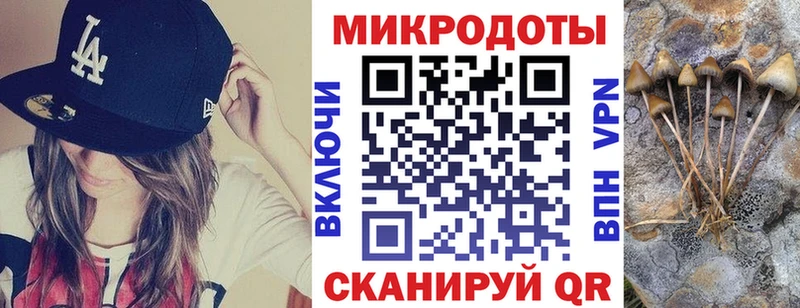 Псилоцибиновые грибы MAGIC MUSHROOMS  Тосно 